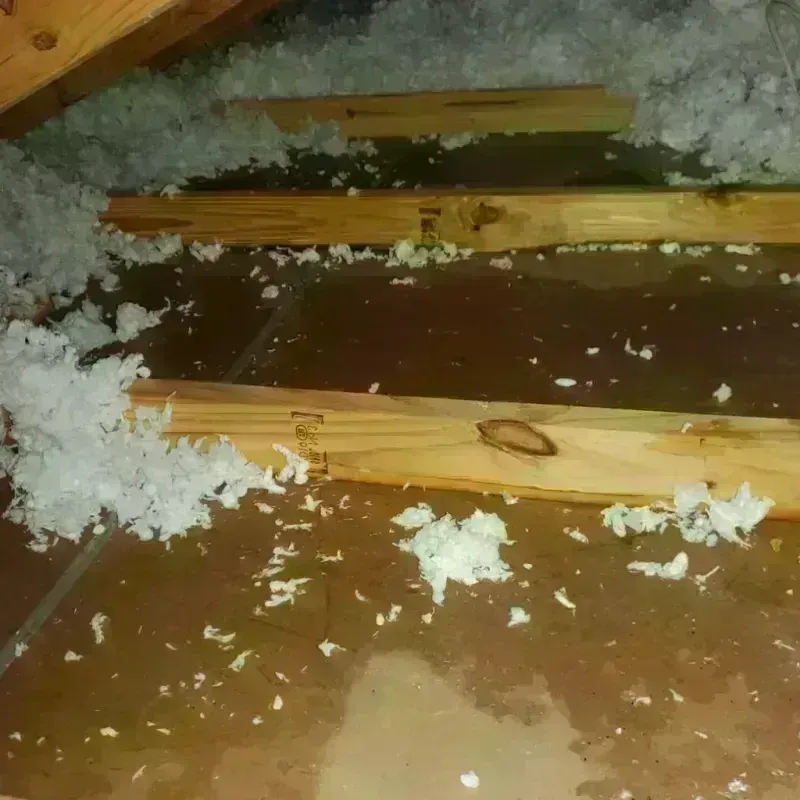 Attic Water Damage in New Hampton, IA