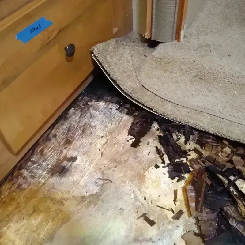 Best Wood Floor Water Damage Service in New Hampton, IA